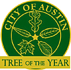 Tree of the Year logo