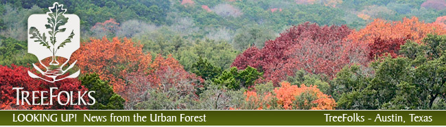 treefolks-email-header-autu 2